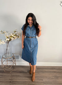 The Harper Denim Dress