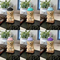 Color Pop Hats/Straw - Multiple Color Options