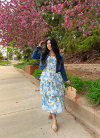 The Rose Garden Dress - Blue