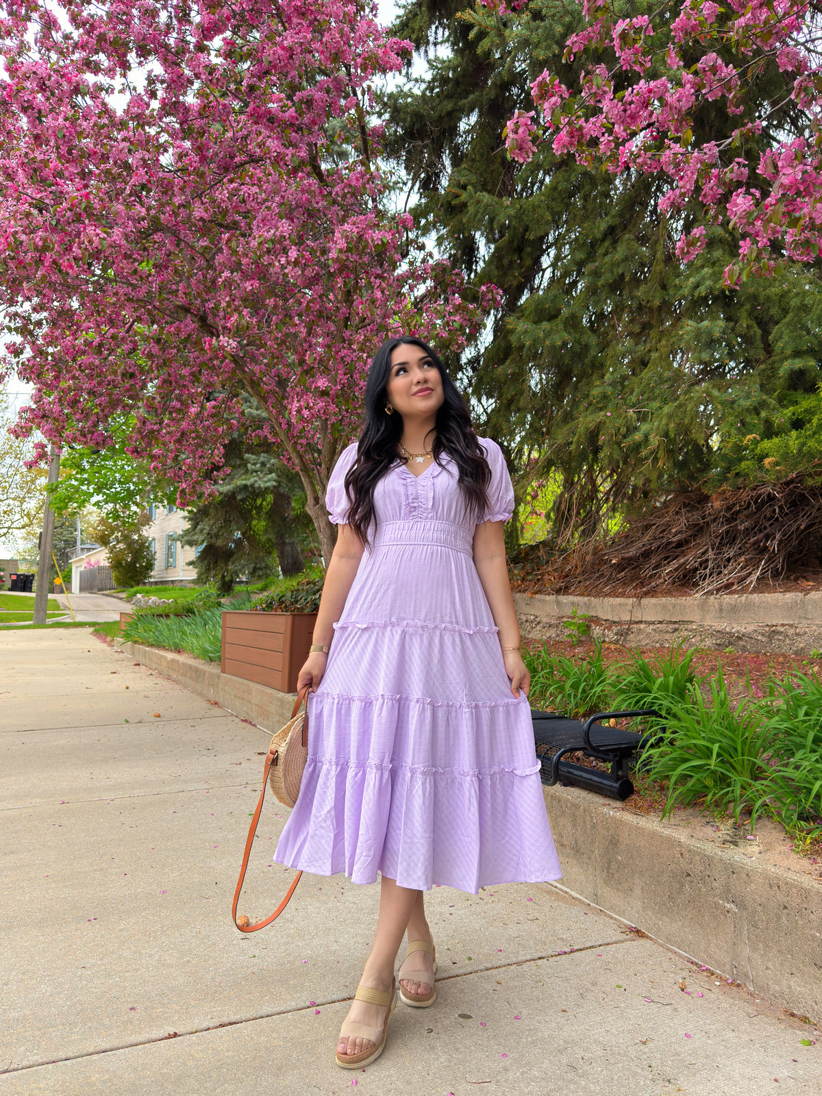 The Lavender Dress